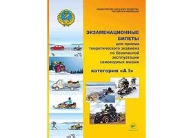 Категория AI